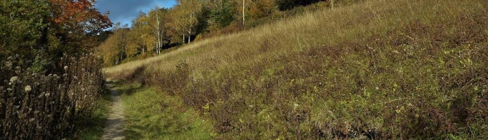 The Glebe Lands in Woldingham