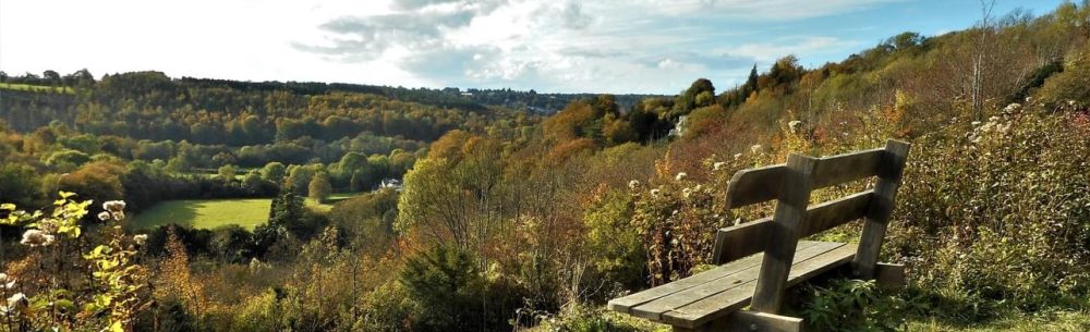 The Glebe Lands in Woldingham